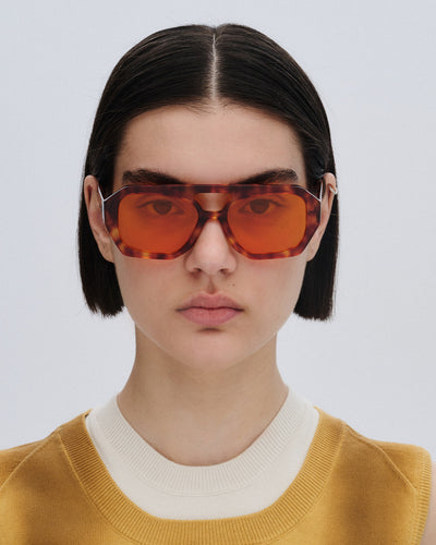 Horizon Sunset (Mars)