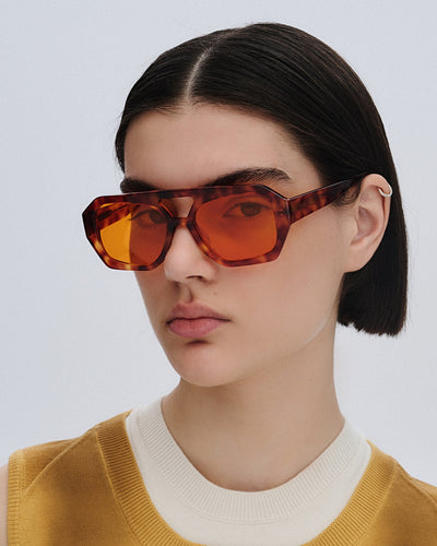 Horizon Sunset (Mars)