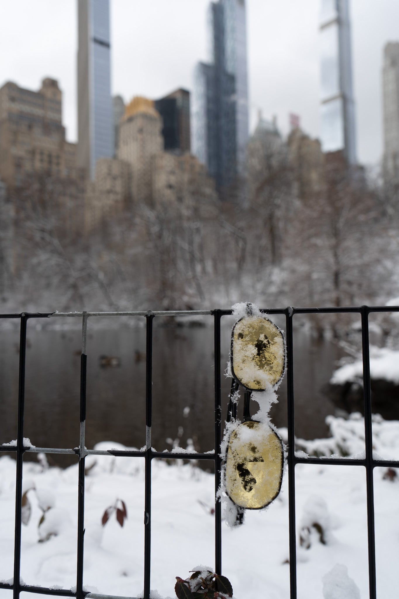 Snow-covered metal gate with a blurred cityscape in the background