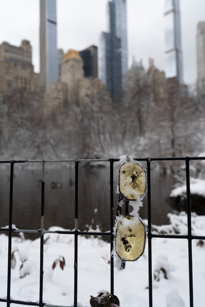 Snow-covered metal gate with a blurred cityscape in the background